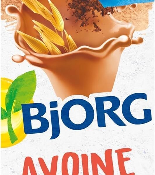 BJORG - Boisson Avoine Cacao Bio - Sans Sucres Ajoutés - 1L, vue 1
