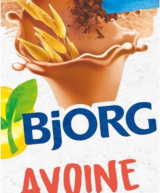 BJORG - Boisson Avoine Cacao Bio - Sans Sucres Ajoutés - 1L