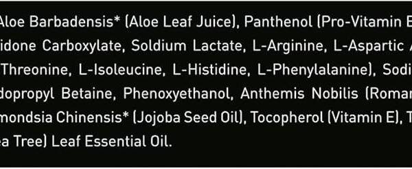 Brickell Men's Routine de Soins Capillaires Revitalisants, Shampooing à L'huile de Menthe et de Tee Tree Naturel et Bio, vue 5