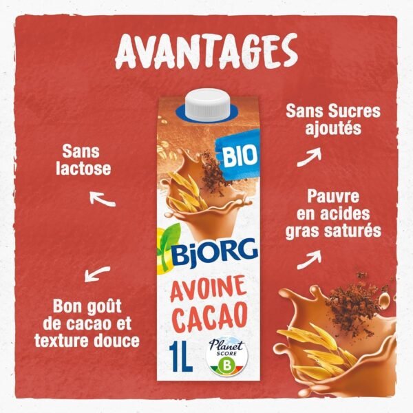 BJORG - Boisson Avoine Cacao Bio - Sans Sucres Ajoutés - 1L – Image 2