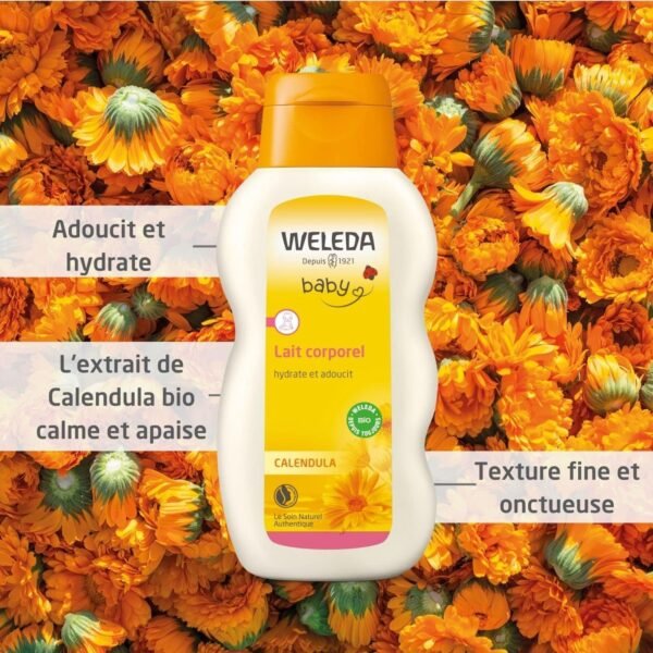 WELEDA - Lait corporel Calendula - Adoucit et hydrate - 200 ml – Image 2