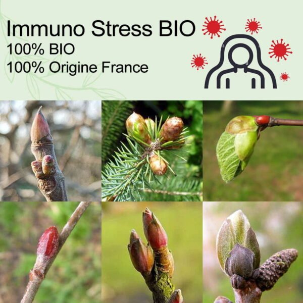 Box Immuno Stress BIO des Laboratoires Biogemm – Image 3