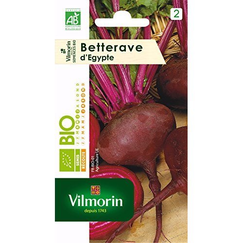 Vilmorin - Graines bio betterave Noire d&rsquo;Égypte