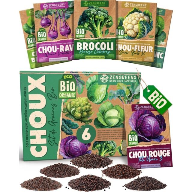 ZenGreens - Kit graines de choux bio, 6 variétés anciennes